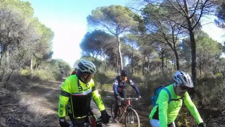 Caminito Maravilloso III