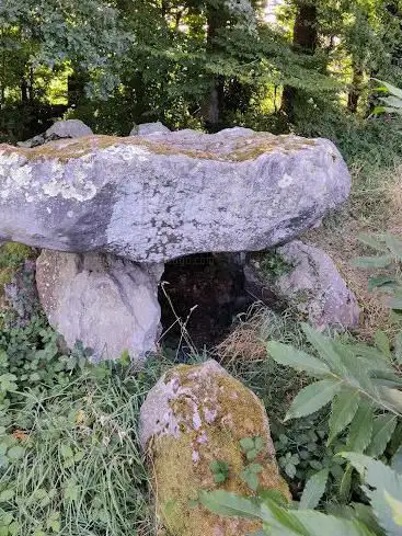 Allée couverte du Bois du Rocher