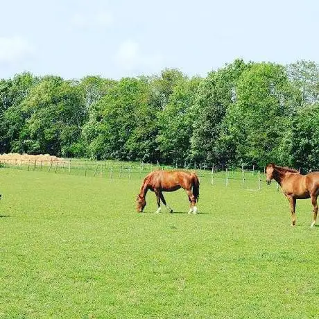 Ecuries du Breuil