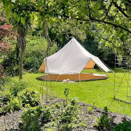 Fig & Moon Retreats