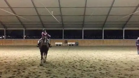 Photo de Mandaletti Quarter Horses