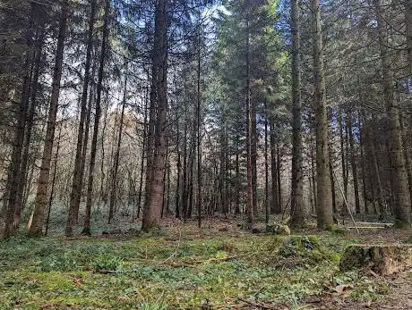 Photo de Montagne d'âge