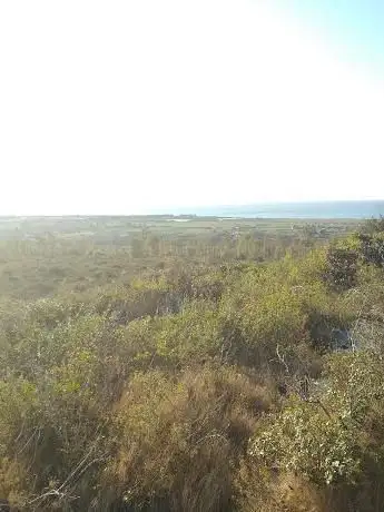 Specchia del Corno