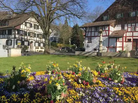 Ortsmuseum Albisrieden