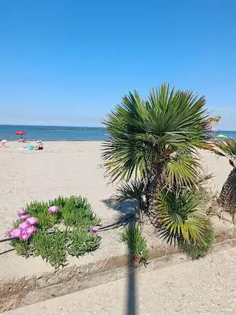 Photo de Spiaggia Lido di Pomposa