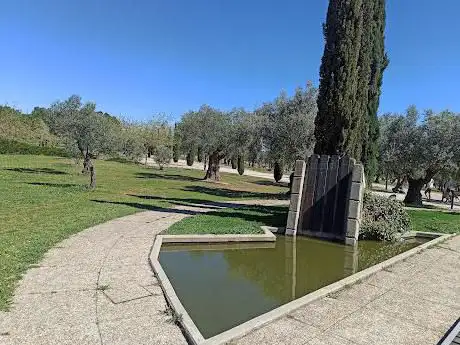 Photo de Queen Sophia Olive Grove