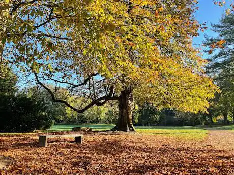 Photo de Domaine regional de Saint Thibault