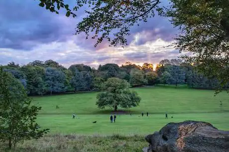Warley Woods