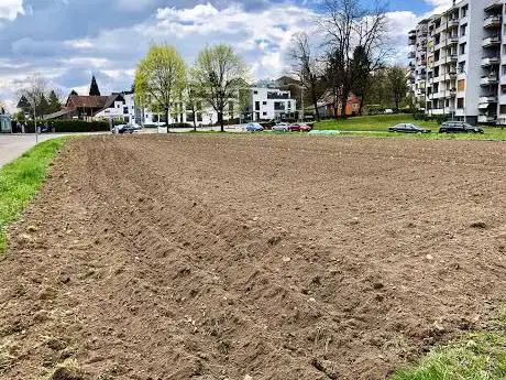 Photo de Querbeete Zürich-Seebach
