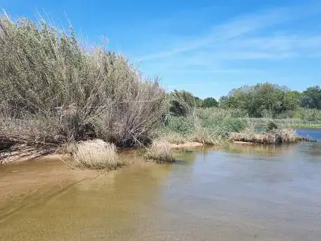 Delta de la Tordera
