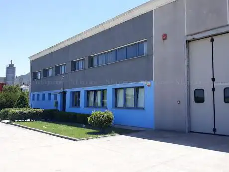 Gioco Vincente Triskel S.r.l.