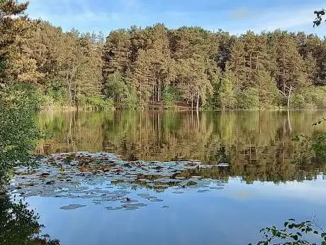 Photo de Moat Pond