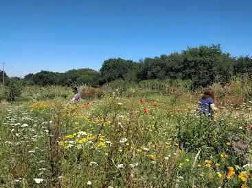 Arpente - Kergazec Garden