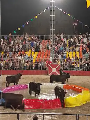 Photo de Top à la Vachette - Arènes de Saint Cyprien
