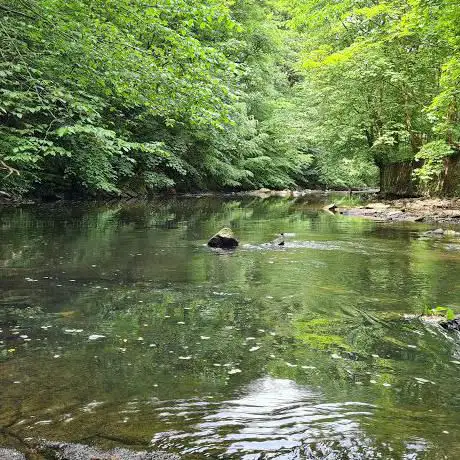 Photo de Heald Wood