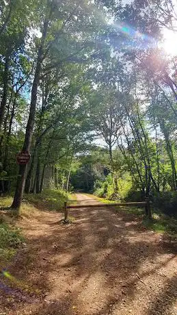 Villeneuve sur Yonne Woods