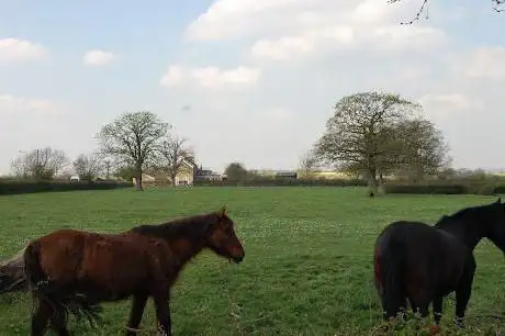 Photo de Aldborough Hall Equestrian Centre