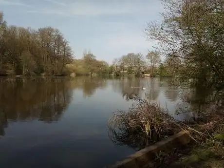 Photo de Brownshore Lakes