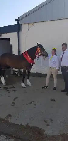 Photo de White Horse Farm Showground
