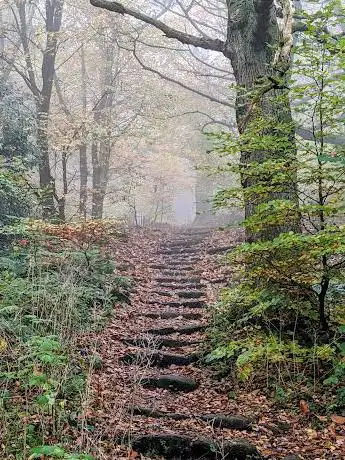 Steps up the Chevin