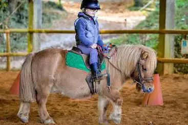Photo de Equestrian Center De Juzet