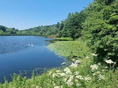 Hurcott Pool