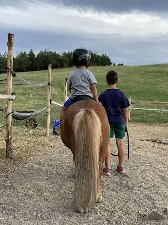 Scuola di Equitazione Centro Cinofilo Podere Viticella ASD