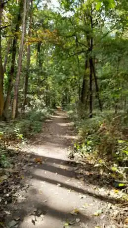 Photo de Snijsselsbos
