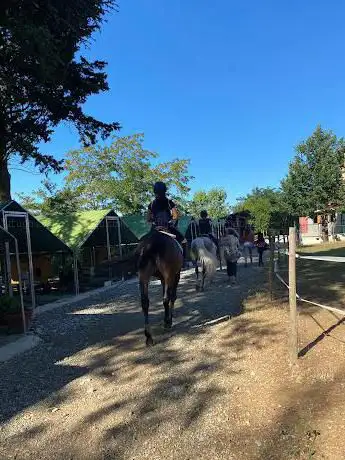 Centro Ippico Il Cavallino D'Oro ASD
