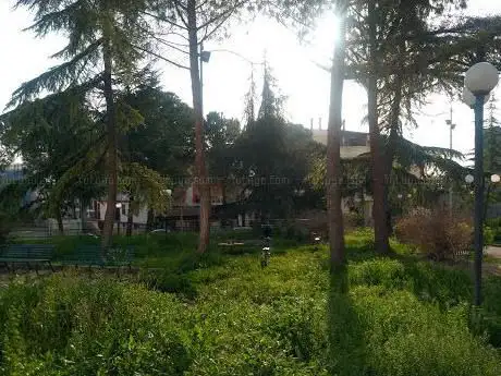 Photo de the Memorial Park