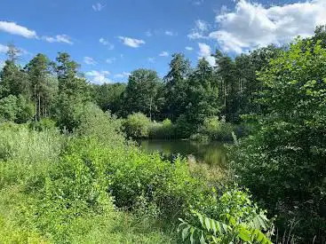 Photo de See im Wald (Feuerlöschsee)