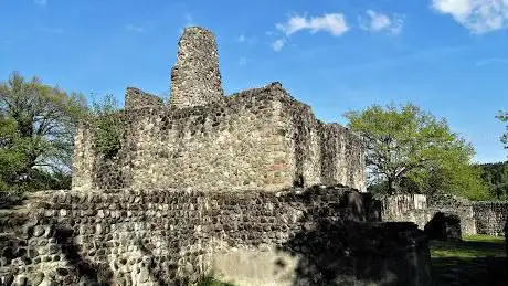 Ruins of Alt-Regensberg Castle