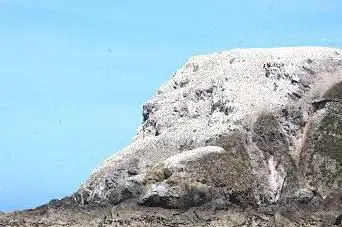 Réserve naturelle nationale des Sept-Îles