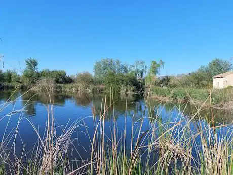 Photo de Marjal dels Borrons