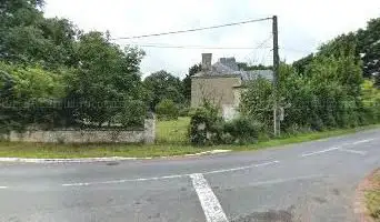 Photo de Cèdre Bicentenaire