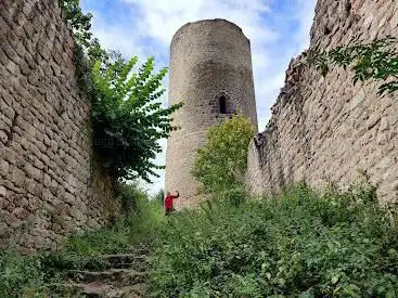 Photo de Château de Pflixbourg