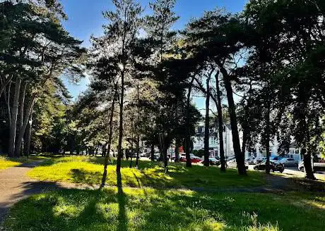 Spencer Road Gardens