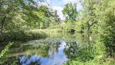 Parc Cesson la forêt