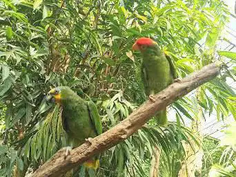Photo de Butterfly park