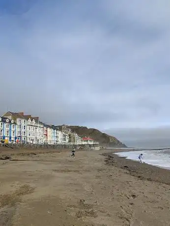 Aberystwyth Marine Wildlife and Angling tours
