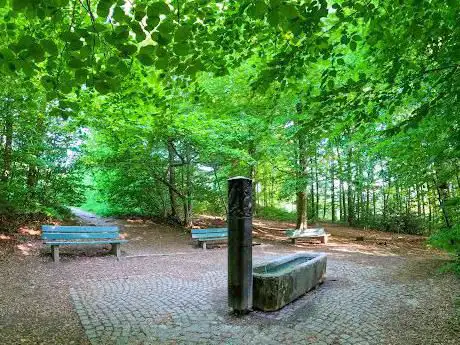 Waldbrunnen