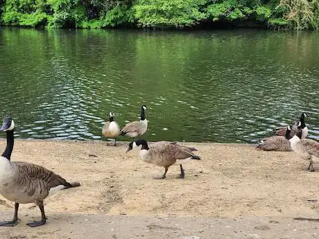 Photo de Heaton Park Boating Lake