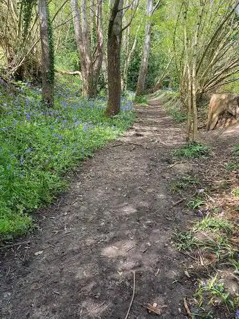 Photo de Knapton Cutting