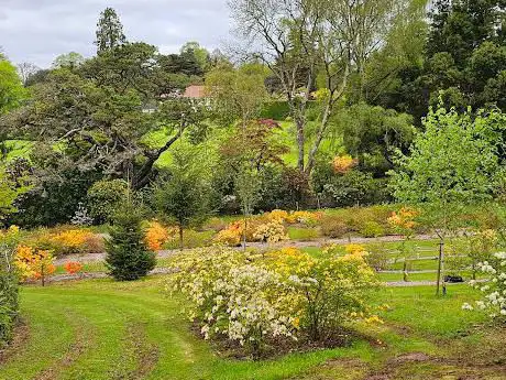 Haldon Grange