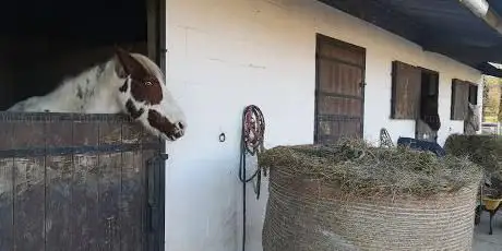 Haras des Trois Pays