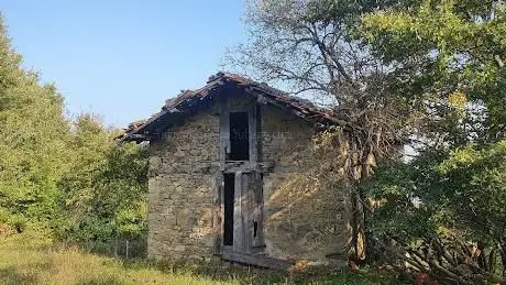 Barcedola