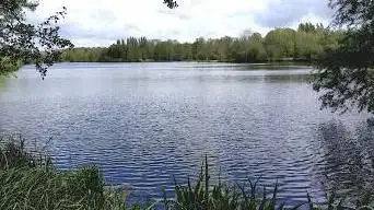Photo de Chandelles