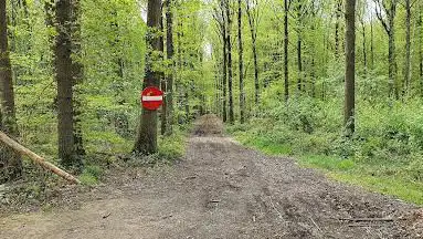 Oud-Smetleedse bossen