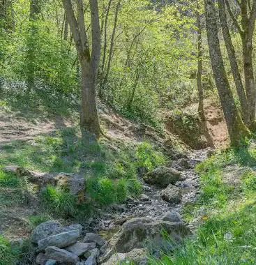 Photo de Les Sources de l'Aveyron