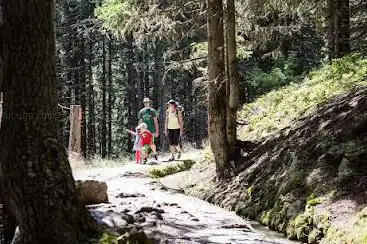 Photo de Chute du Bisse